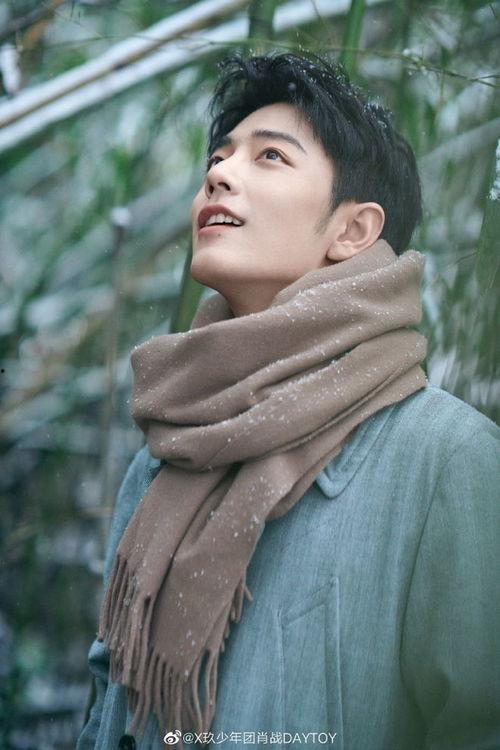 吃瓜娱乐说杨紫肖战,娱乐圈的甜蜜瓜田  第2张